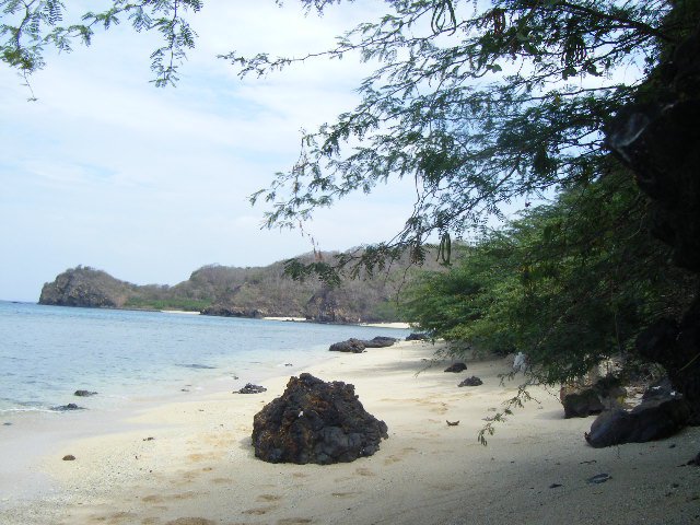 188708_10150117782787539_5454843_n