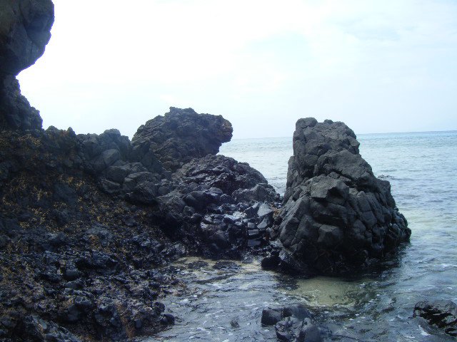 196389_10150117785002539_2436161_n