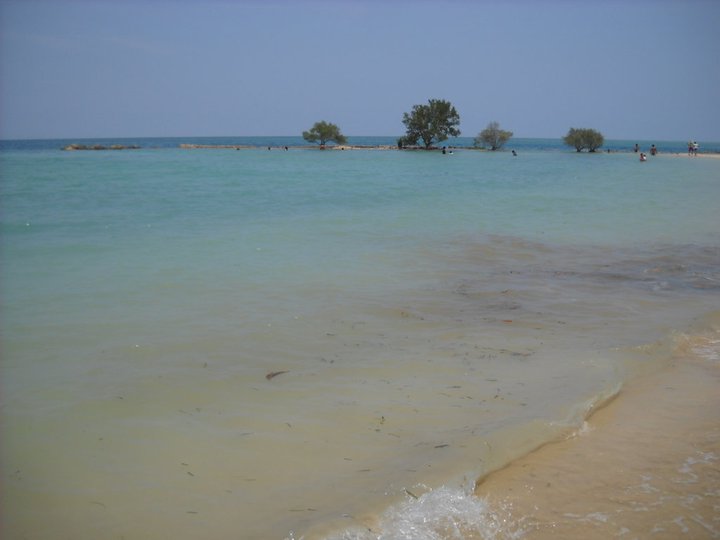 229153_1993459632708_1129939376_32376816_3157591_n