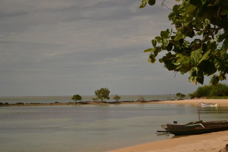 400179_4575579344087_43520116_n