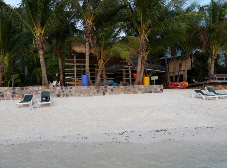 402756_10150495214127779_782340558_n