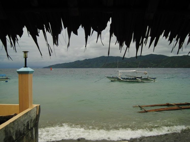 564125_10151011443238113_410695256_n