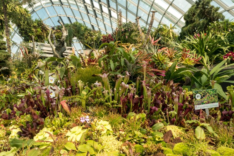 Gardens by the Bay - - 13