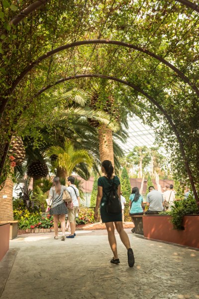 Gardens by the Bay - - 32