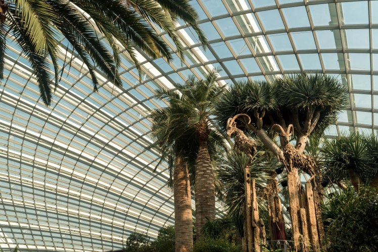 Gardens by the Bay - - 33