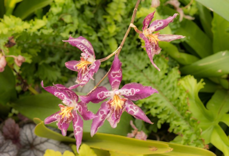 Gardens by the Bay - - 39