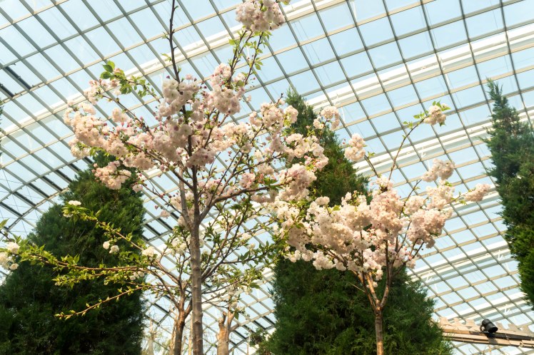 Gardens by the Bay - - 40