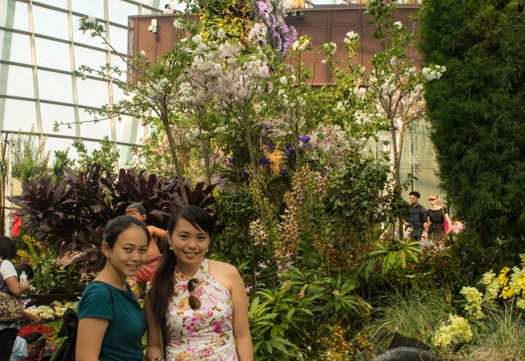 Gardens by the Bay - - 41