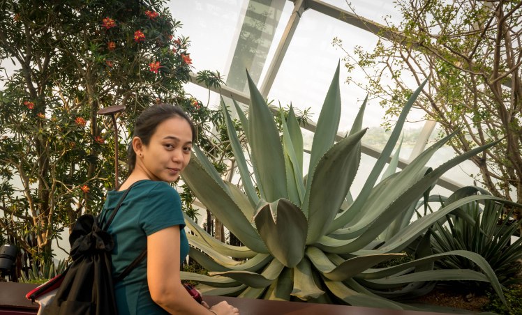 Gardens by the Bay - - 47