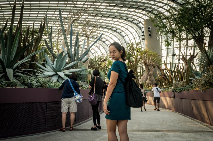 Gardens by the Bay - - 49