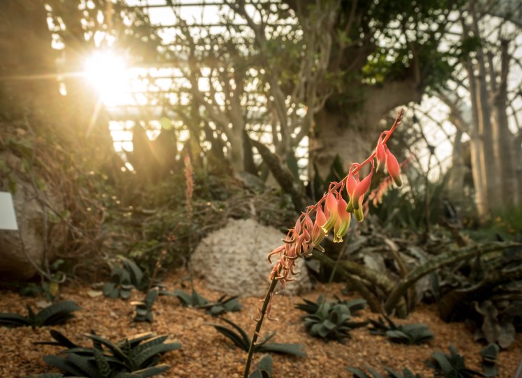 Gardens by the Bay - - 51