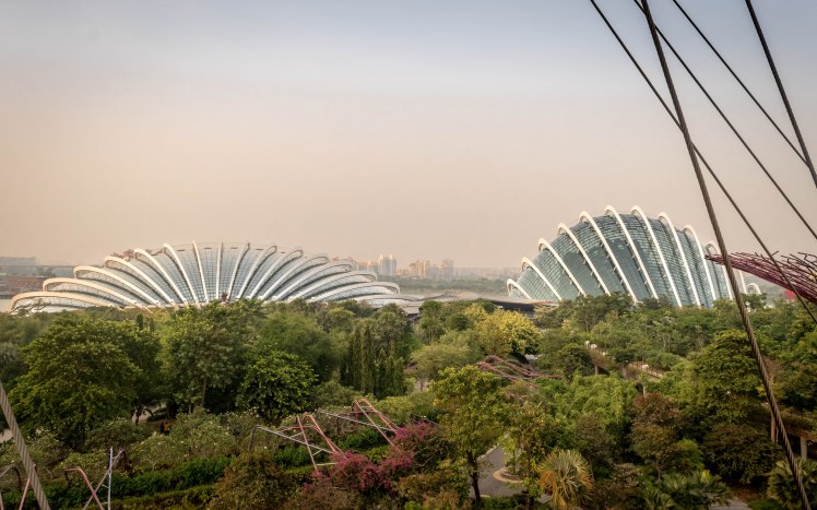 Gardens by the Bay - - 60