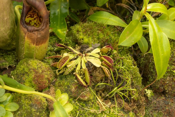 Gardens by the Bay - - 8