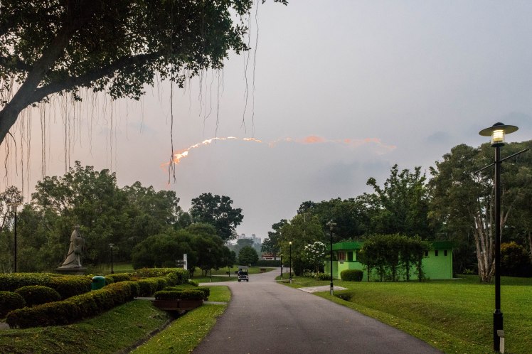 Chinese Garden  - 27